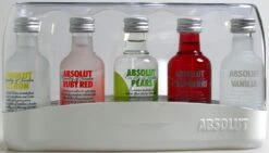 Gazebo Parts Direct Sales Store -Getränke Verkäufe 2024 Absolut Five Pack Minis 1