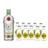 Zitroniges Gin Tonic Set 2,7 Liter -Getränke Verkäufe 2024 Rangpur Goldberg Set