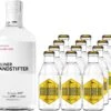Berliner Brandstifter Gin 0,7 Liter Mit 12x Goldberg Tonic Water 0,2 Liter 1 Berliner Brandstifter Gin 0,7 Liter Mit 12x Goldberg Tonic Water 0,2 Liter -Getränke Verkäufe 2024 berliner brandstifter gin 0 7l mit 12x goldberg tonic water 0 2l bw41495