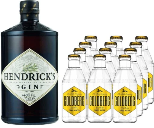 Hendrick's Gin 0,7 Liter Mit 12x Goldberg Tonic Water 7 Hendrick's Gin 0,7 Liter Mit 12x Goldberg Tonic Water -Getränke Verkäufe 2024 bottleworld de media image 1d 51 a3 hendricks gin 0 7l mit 12x goldberg tonic water 34679 15719 jpg
