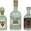 Gin Set Deutschland Mini -Getränke Verkäufe 2024 gin set deutschland mini 66049 bw9628