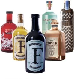 Gin Bundle 6 Flaschen 3,6 Liter