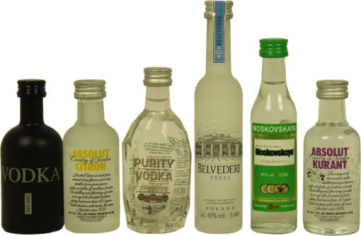 Inferno Mini Vodka Set 0,3 Liter 1 Inferno Mini Vodka Set 0,3 Liter -Getränke Verkäufe 2024 inferno mini vodka set 58873 bw9190