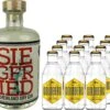 Siegfried Rheinland Gin 0,5 Liter Mit 12x Goldberg Tonic Water 0,2 Liter