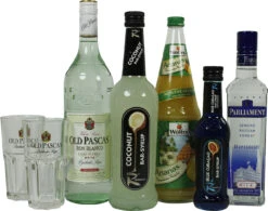 Swimmingpool Cocktail Set