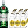 Tanqueray Gin 1 Liter Mit 12x Goldberg Tonic Water 0,2 Liter